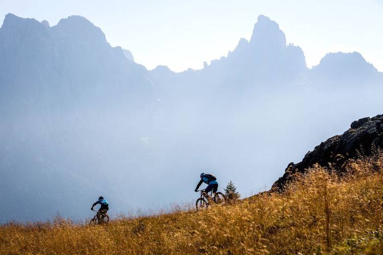 Down Hill Alpe Tognola San Martino Bike Arena