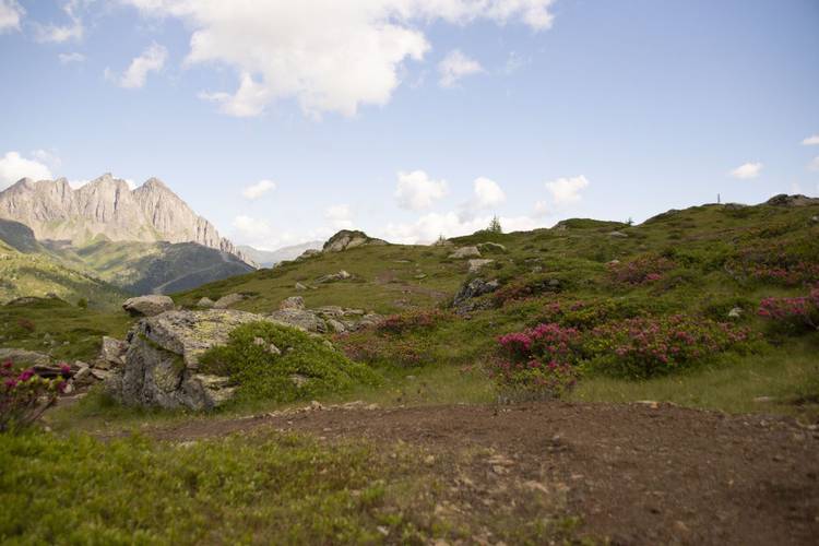 Trekking panoramico Dolomiti San Martino di Castrozza