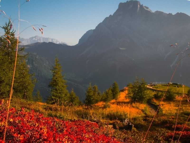 Colori d'autunno Langes 2025 Colori d'autunno Langes 2025